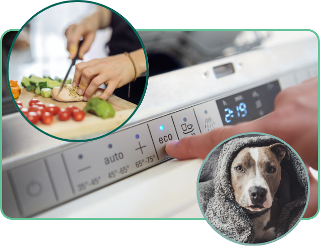 Shifting energy usage and using Energy Efficient appliances for better energy savings