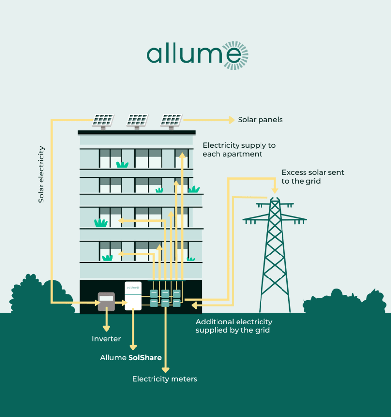 Allume - How it works diagram - Portrait-1